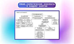 Портфолио №2 — Момотова Анастасия Алексеевна