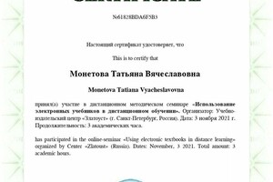 Использование электронных учебников в дистанционном обучении — Монетова Татьяна Вячеславовна