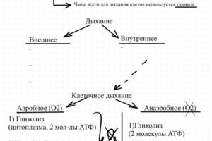 Портфолио №2 — Морозова Анастасия Сергеевна