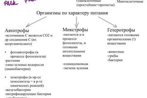 Портфолио №4 — Морозова Анастасия Сергеевна