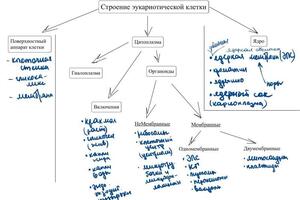 Портфолио №8 — Морозова Анастасия Сергеевна