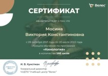 Диплом / сертификат №7 — Мосина Виктория Константиновна