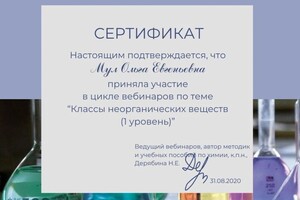 Диплом / сертификат №9 — Мул Ольга Евгеньевна