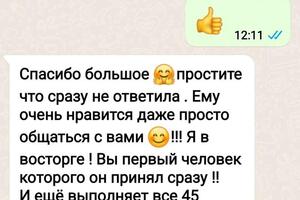 Занятия по подготовке к школе + логопедия. Отзыв от мамы ученика. — Наймушина Светлана Михайловна