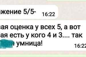 Отчет мамы ученицы о школьной работе. — Наймушина Светлана Михайловна