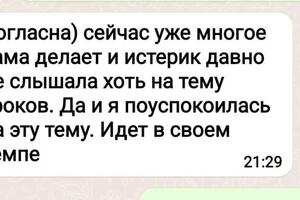 Мама ученицы пишет о своих наблюдениях. — Наймушина Светлана Михайловна