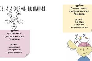 Портфолио №3 — Назаренко Ольга Александровна