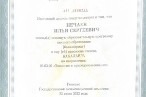 Диплом / сертификат №1 — Нечаев Илья Сергеевич