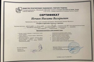 Диплом / сертификат №2 — Нечаев Никита Валерьевич