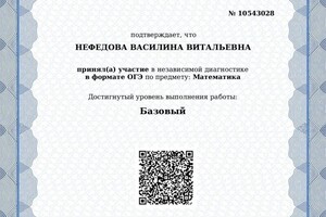 Диплом / сертификат №8 — Нефедова Василина Витальевна