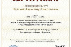 Диплом / сертификат №11 — Невский Александр Николаевич