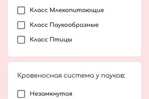 Домашние задания представлены в виде Google-теста для закрепления материала — Николаева Нина Дмитриевна