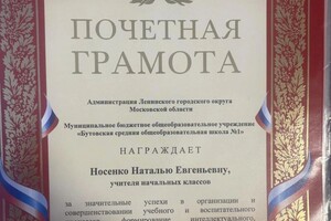 Диплом / сертификат №17 — Носенко Наталья Евгеньевна