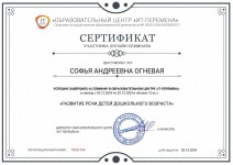 Диплом / сертификат №16 — Огневая Софья Андреевна