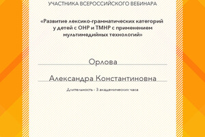 вебинар Развитие лексико-грамматических категорий у детей с ОНР и ТМНР с применением мультимедийных технологий — Орлова Александра Константиновна