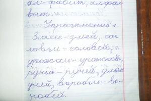 Это писал мальчик 7 лет. Ребёнок особый (органика, синдром ДЦП). Так мы начинали. — Осипова Ольга Павловна