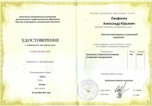 Диплом / сертификат №5 — Панфилов Александр Юрьевич