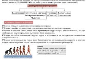 Все лекции сопровождаются понятными презентациями, примерами — Панькова Наталья Александровна