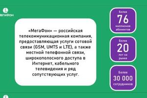 Пример оформления презентации (три отдельных слайда) — Панова Мария Александровна