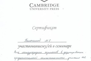 Диплом / сертификат №41 — Пашечкина Мария Евгеньевна