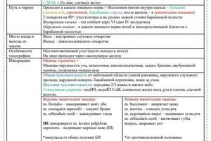 Авторская таблица по лицевому нерву — Павлюк Виолетта Викторовна