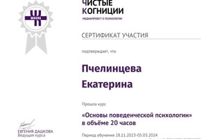 Диплом / сертификат №20 — Пчелинцева Екатерина Станиславовна