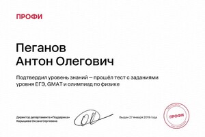 Диплом / сертификат №4 — Пеганов Антон Олегович