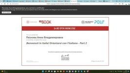 Диплом / сертификат №3 — Пескова Анна Владимировна