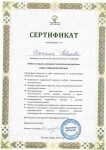 Диплом / сертификат №13 — Певцаева Наталья Михайловна