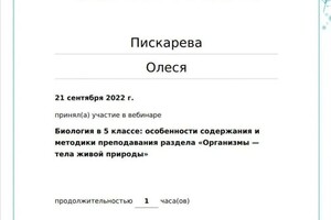 Диплом / сертификат №11 — Пискарева Олеся Александровна