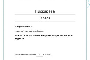 Диплом / сертификат №14 — Пискарева Олеся Александровна