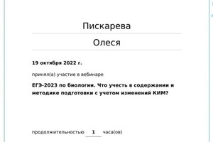 Диплом / сертификат №16 — Пискарева Олеся Александровна