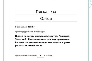 Диплом / сертификат №17 — Пискарева Олеся Александровна