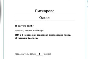 Диплом / сертификат №19 — Пискарева Олеся Александровна