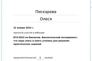 Диплом / сертификат №20 — Пискарева Олеся Александровна