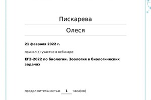 Диплом / сертификат №8 — Пискарева Олеся Александровна