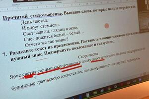 Онлайн урок по русскому языку, 2 класс — Платонова Юлия Алексеевна