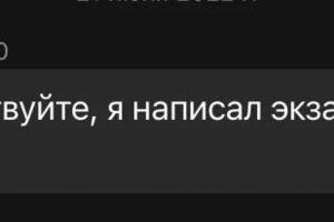 Пятерка на ОГЭ по русскому языку (результат годового курса обучения) — Поник Мария Викторовна