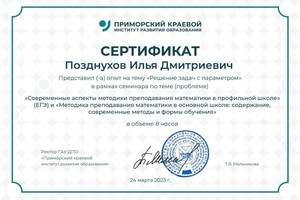 Диплом / сертификат №13 — Позднухов Илья Дмитриевич