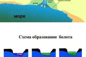 Портфолио №14 — Позднякова Юлия Дмитриевна