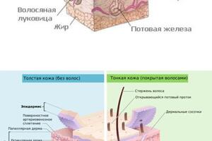 Портфолио №19 — Позднякова Юлия Дмитриевна