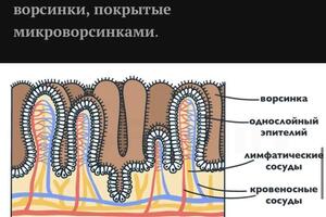 Портфолио №20 — Позднякова Юлия Дмитриевна