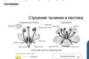 Портфолио №22 — Позднякова Юлия Дмитриевна