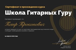 Диплом / сертификат №1 — Прокопович Пётр Владимирович