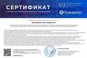 Диплом / сертификат №2 — Просвирова Анна Андреевна