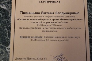 Сертификат — Пшеницына Евгения Владимировна