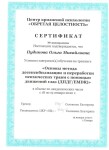 Диплом / сертификат №4 — Пудикова Ольга Михайловна