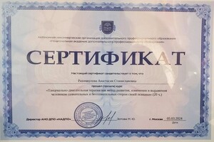 Диплом / сертификат №17 — Рахимкулова Анастасия Станиславовна