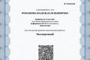 Диплом / сертификат №3 — Романова Надежда Ильинична