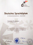 Диплом DSD (2012 г.) — Розаренова Анастасия Сергеевна